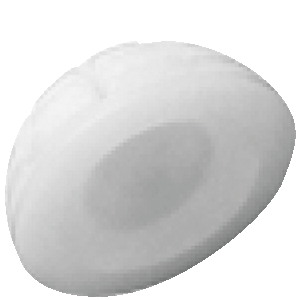 Cotilo de polietileno para uso cementado