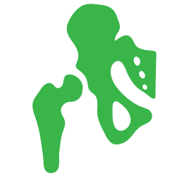 Advita Ortho Hip Illustration Icon Icono ilustrado de cadera