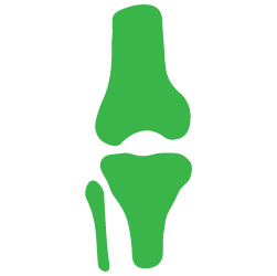 Advita Ortho Knee Illustration Icon Icono ilustrado de rodilla