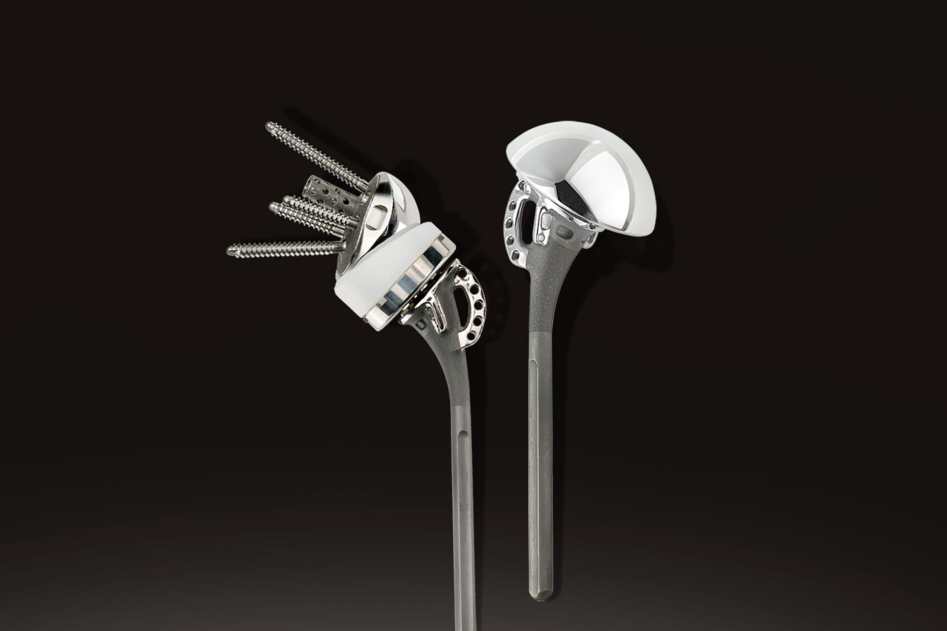 Equinoxe Fracture System